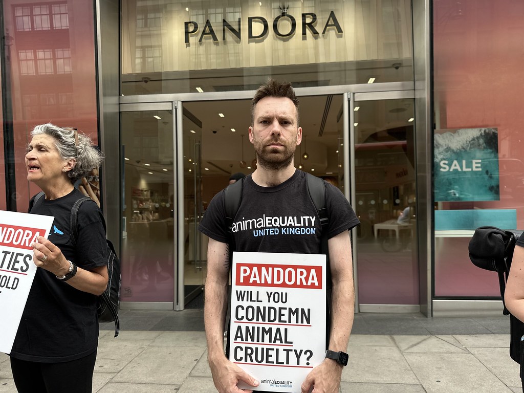 Animal Equality banner