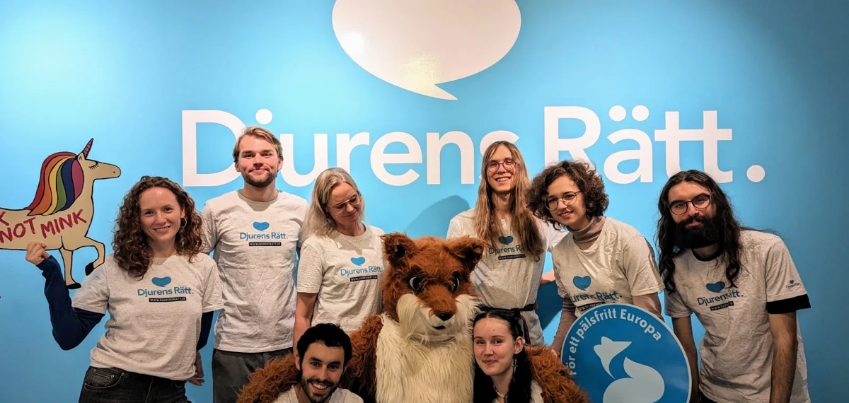 Djurens Rätt banner