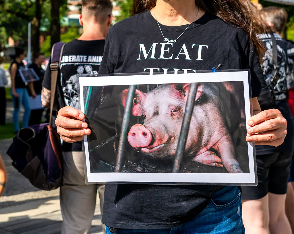 Humane World for Animals banner