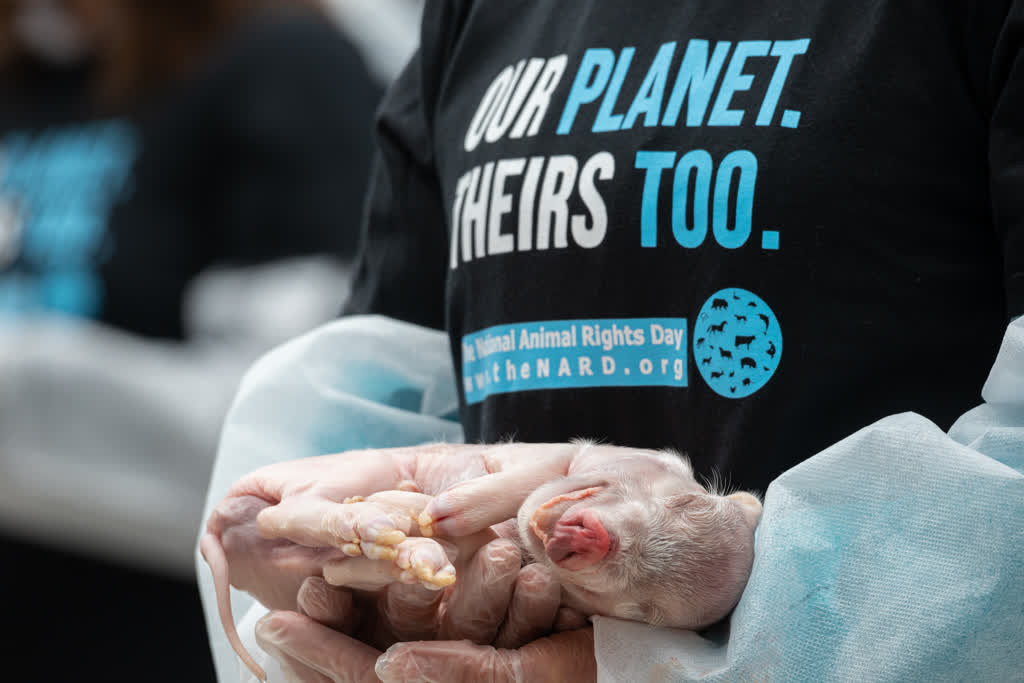 National Animal Rights Day (NARD) banner