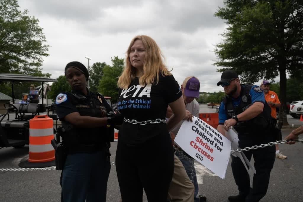 PETA banner