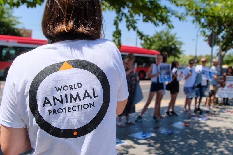 World Animal Protection banner